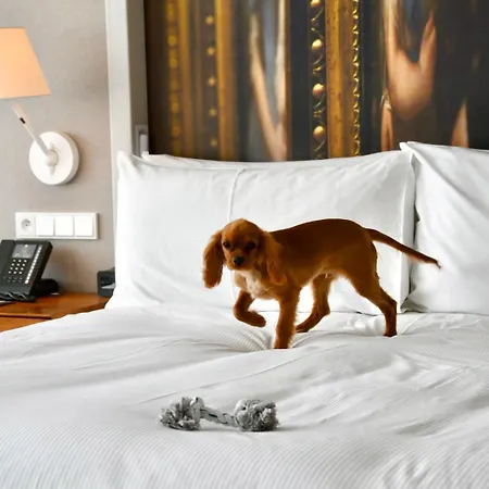 فندق Doubletree By Hilton فروتسواف