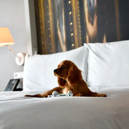 Hotell Doubletree By Hilton 5*